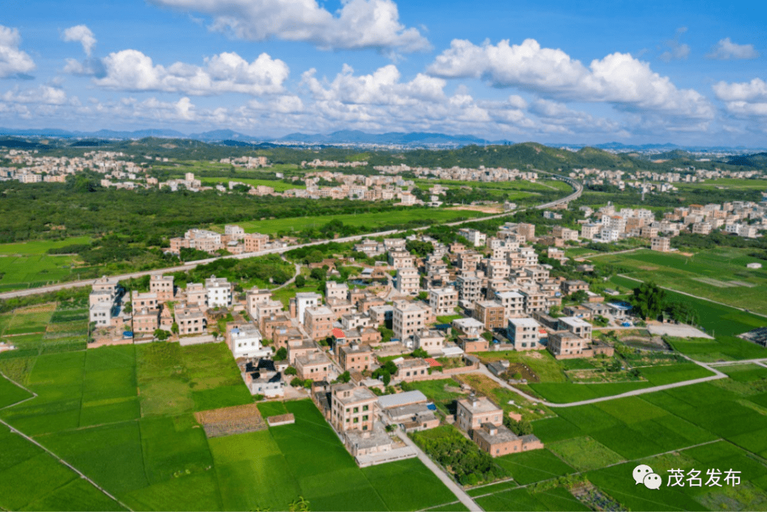 化州4条自然村入选2020年省森林乡村名单很美很好看