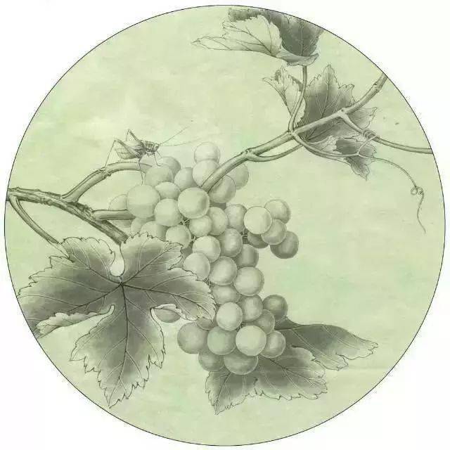 工笔画葡萄水珠画法染色步骤图解