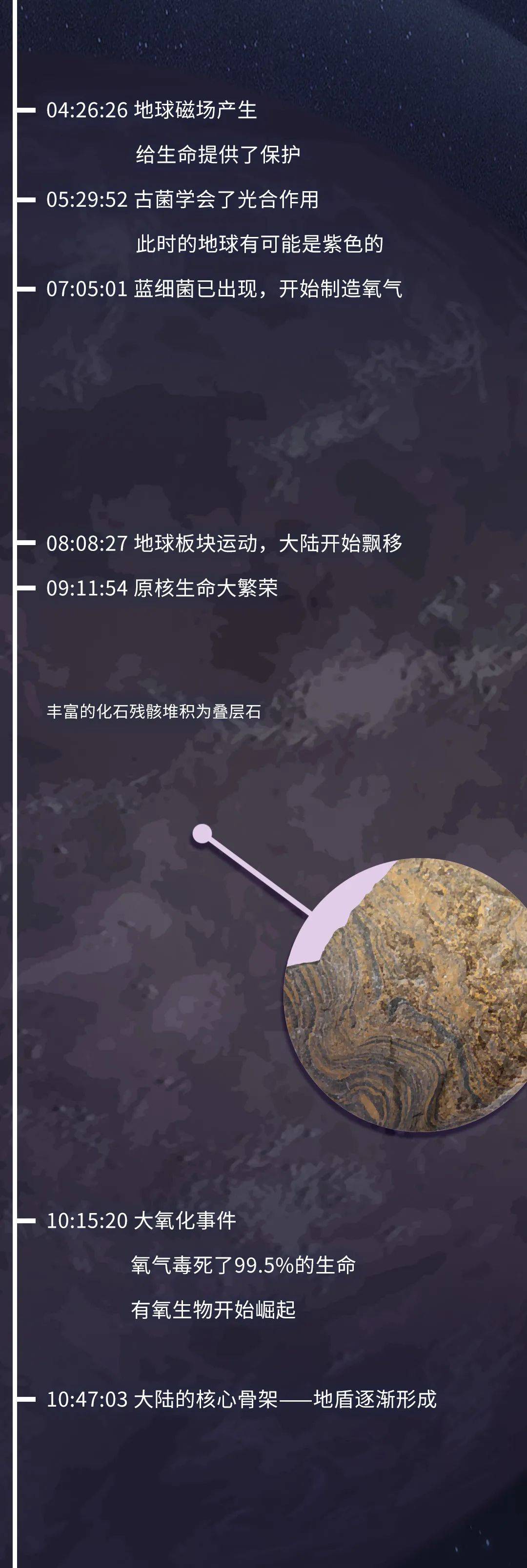 基因|如果把地球历史压缩成24小时会怎么样？