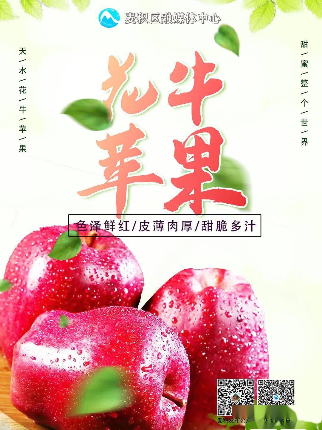 麦积融媒海报|天水花牛苹果,甜蜜整个世界