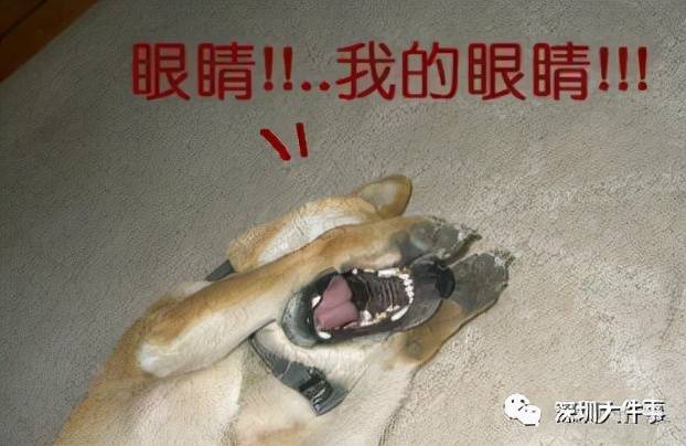 手术|长时间看屏幕，25岁女生“眼睛斜了”！医生：手术无法恢复