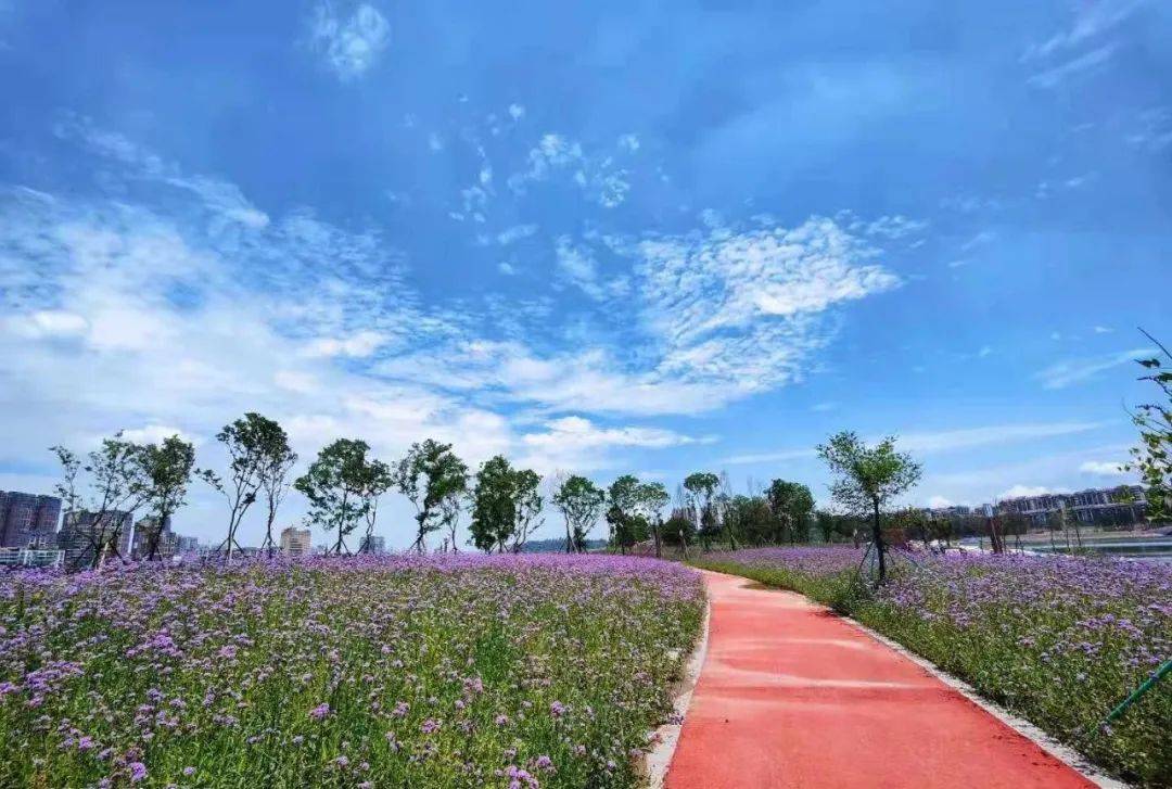 洪雅家门口的湿地公园龙吟滩湿地公园养眼