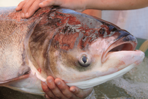 宁夏|宁夏是祖国西部的一块宝地