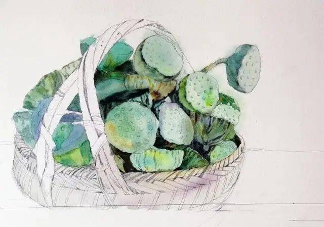 怎么挑选好的莲蓬 ad157e74d0cc4716a9fa1d00e7448826.jpeg