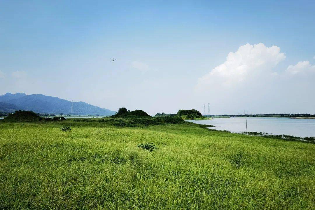 岛上临湖草坪,又一网红打卡之地邓塘洲邓塘洲还流传着地下有石龙的