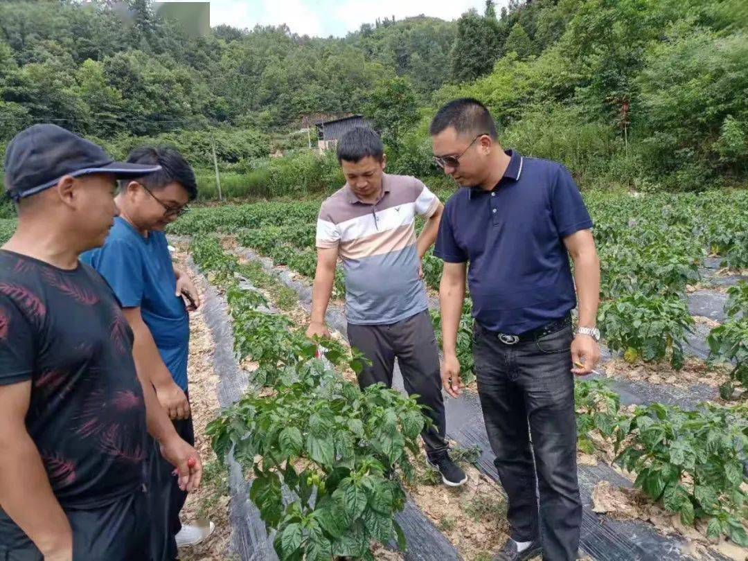 黄平县一碗水乡小乡镇大变样跑出三新加速度