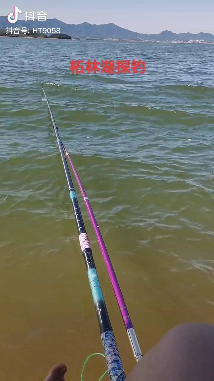 柘林湖钓鱼水库钓鱼挑战进货式钓鱼