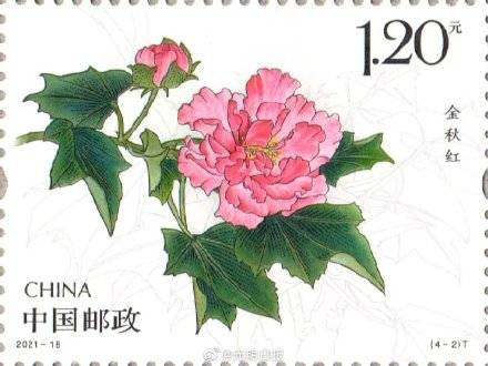 花卉|木芙蓉特种邮票今日正式发行