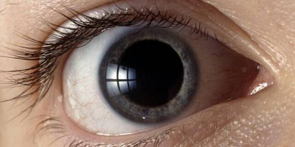 瞳孔扩散意味着什么图片