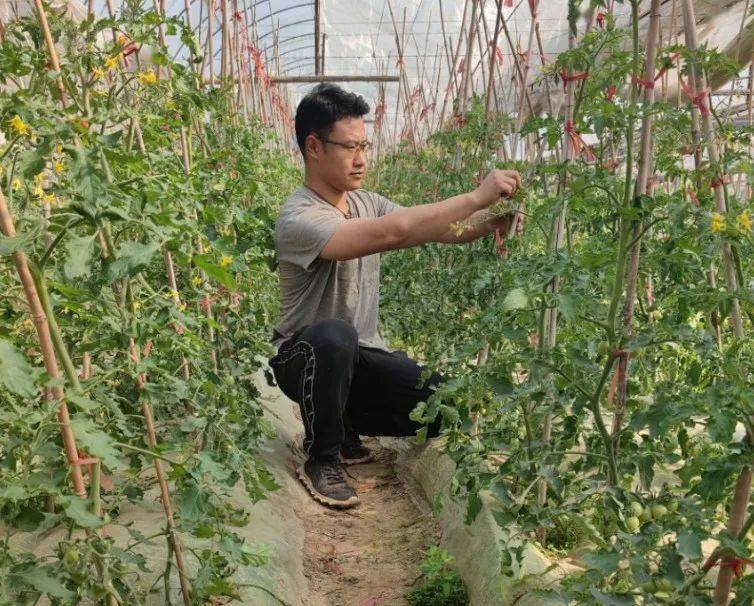 最美青农展青农风采寻青春榜样2021年度江阴市最美新型青年农民风采