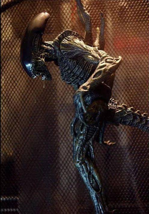 "星爵"激战末日异兽,缺位已久的怪兽决斗来了!