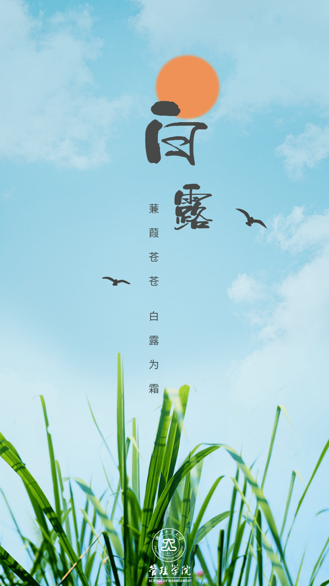 白露|草木含白露,府境秋色浓