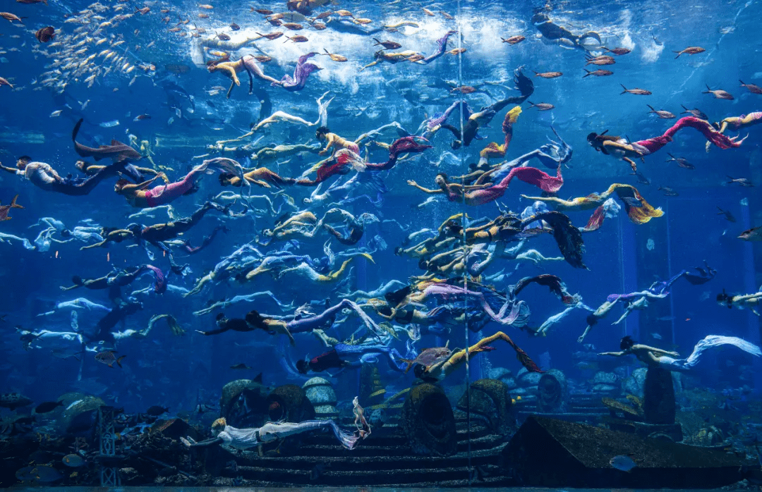 怎样变成美人鱼 d3d1935d3f3c431dbb1c5dc0491be220.png