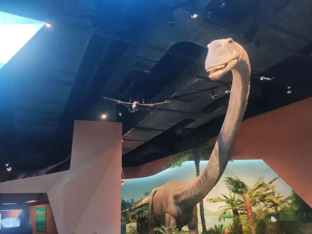 北滘恐龙博物馆图片