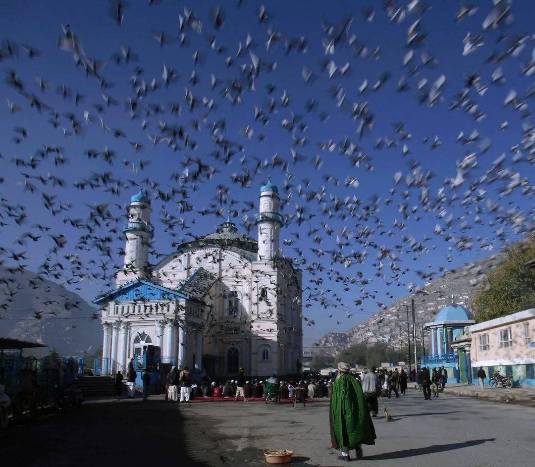 2次普利策奖得主冒死拍下阿富汗现状一张彩色气球照却戳中无数人的心