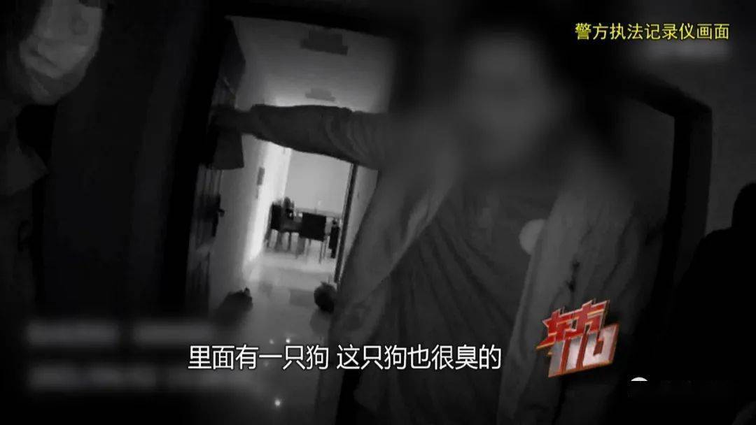 梦见死人活了，我还去看望他，梦境背后的深层含义与解析
