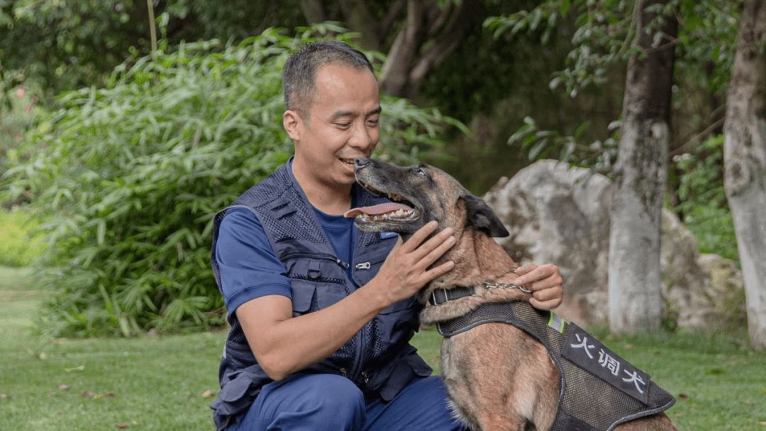 亮相!中国火调第一犬