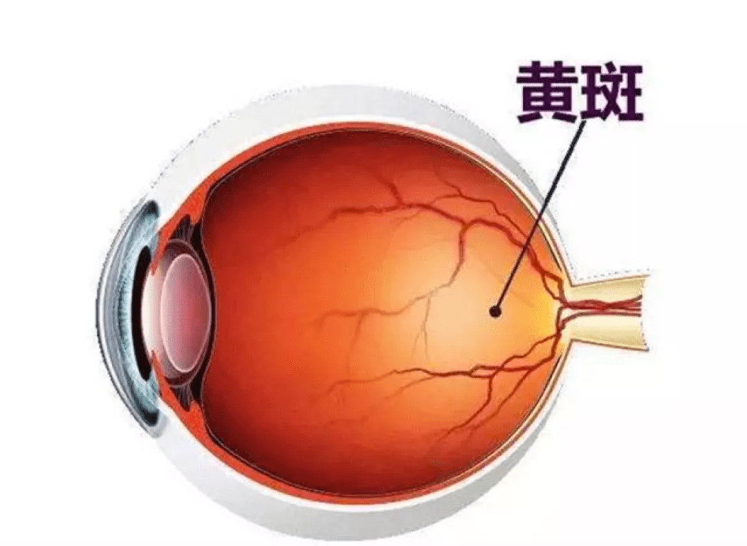 ccd89b97481c40518f7e75af09b7e06a.png