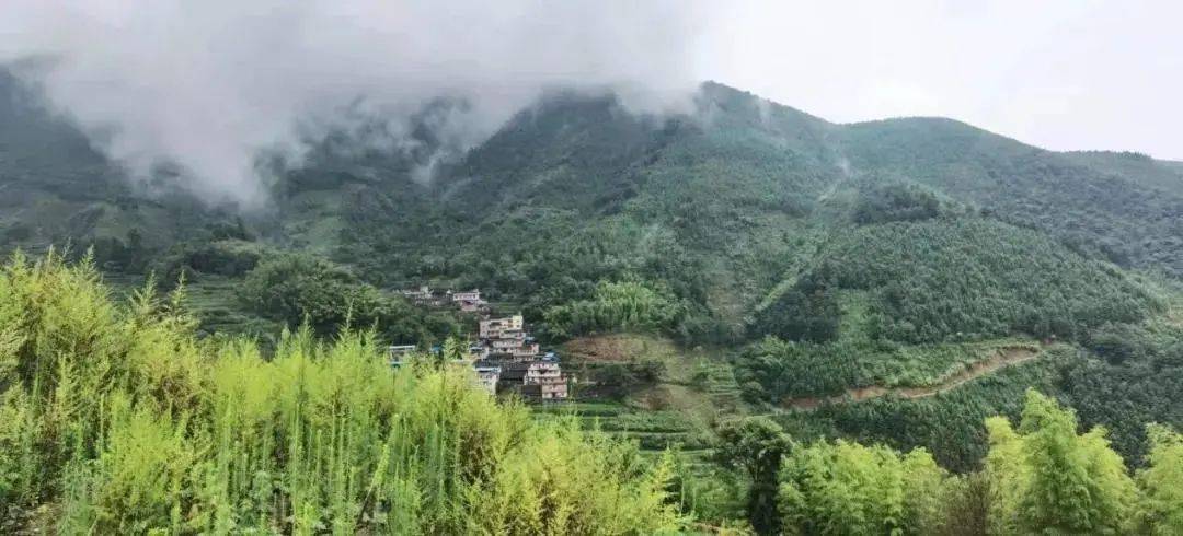 宾川县乌龙坝大箐村图片