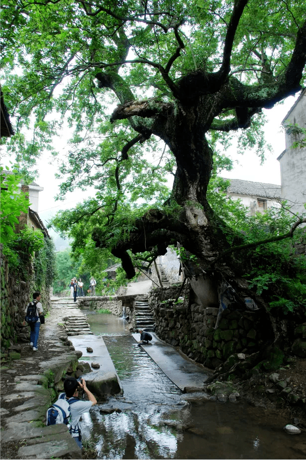 秀山碧水蛟龙藏卧宁海龙宫村到底有什么魔力