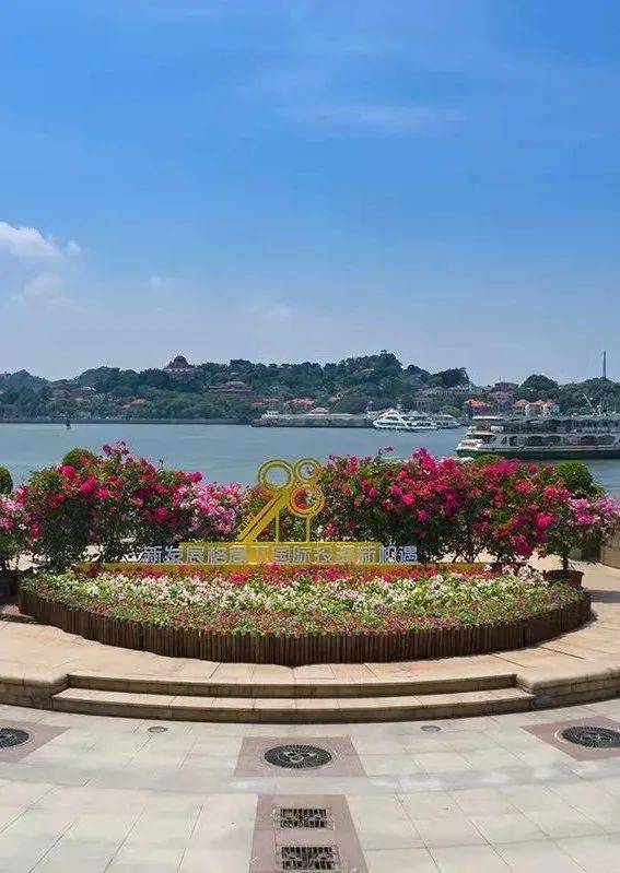 站在时代的浪潮上"为主题前广场的迎宾花坛以氛围布置共使用三角梅