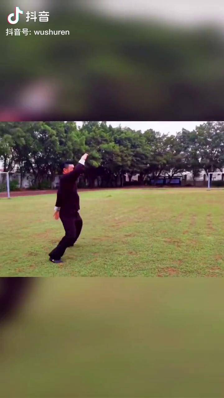 侠家拳名家祖小旺演练侠家拳小罗汉侠家拳武术人武术中华武术传统武术