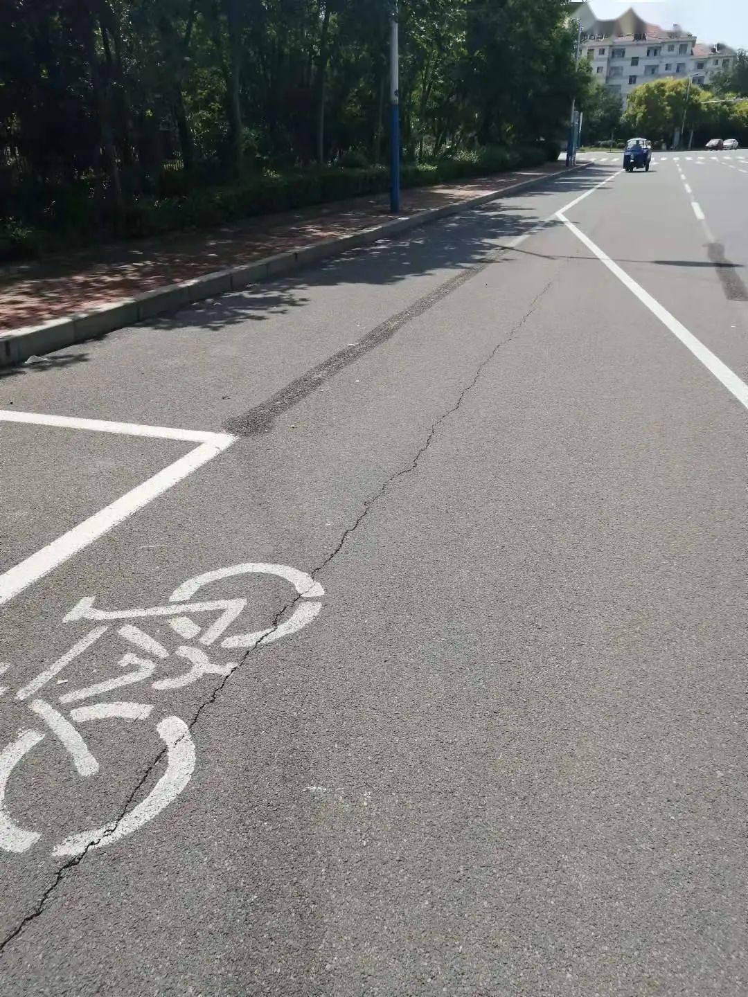 2:"路内停车泊位的设置应当处理好与机动车,非机动车和行人交通的关系