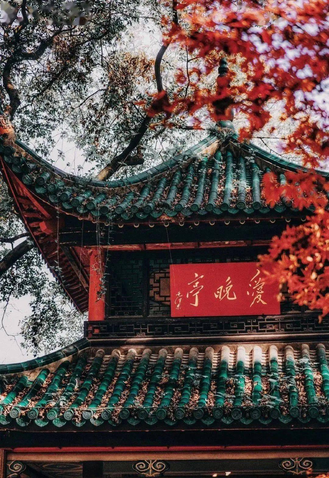 长沙限定准备好追寻醉人心的秋景了么