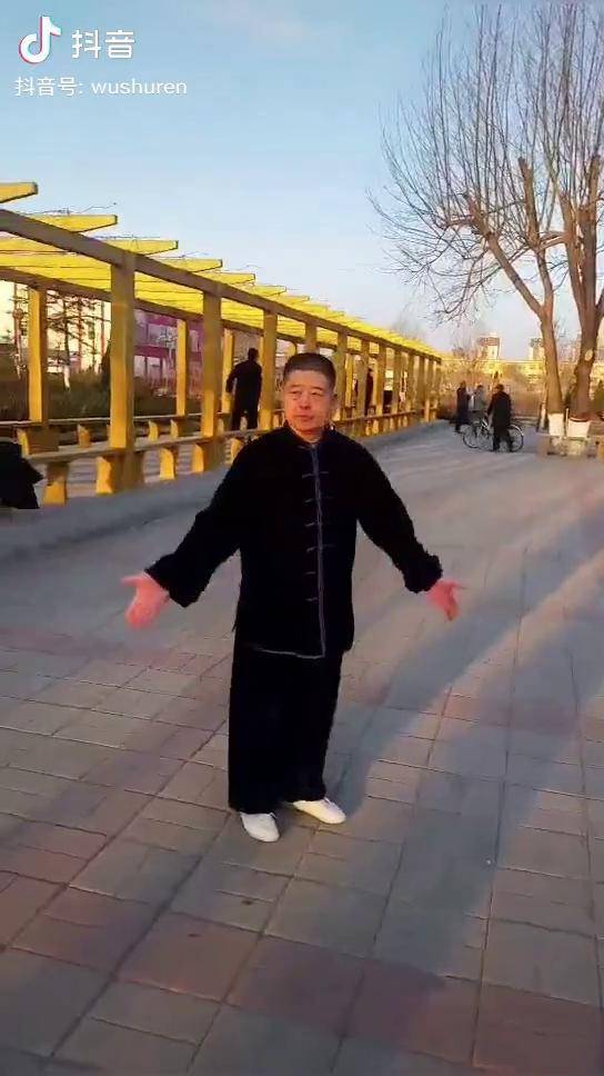 形意拳大师马玉堂传人高贺尧师傅演练的鸡形四把形意拳 武术 武术人