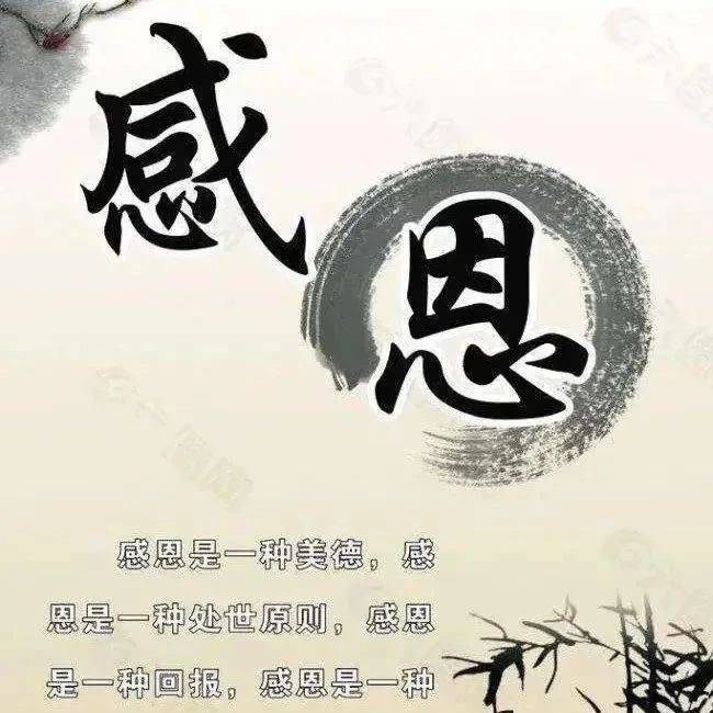 生活随心一段话_是一种