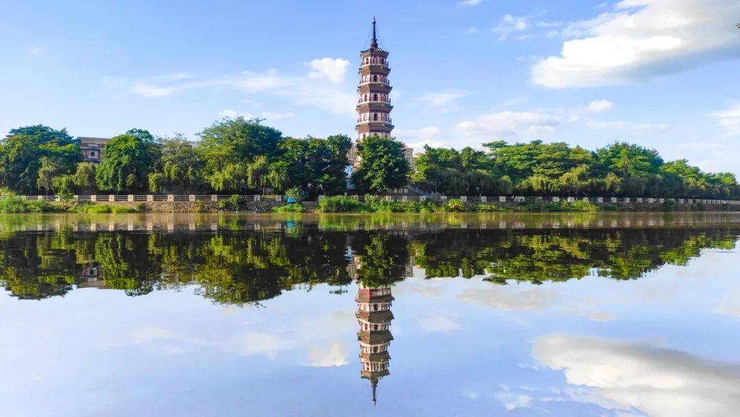 这座广东小城,凭肉桂让外国人疯狂上瘾_罗定市