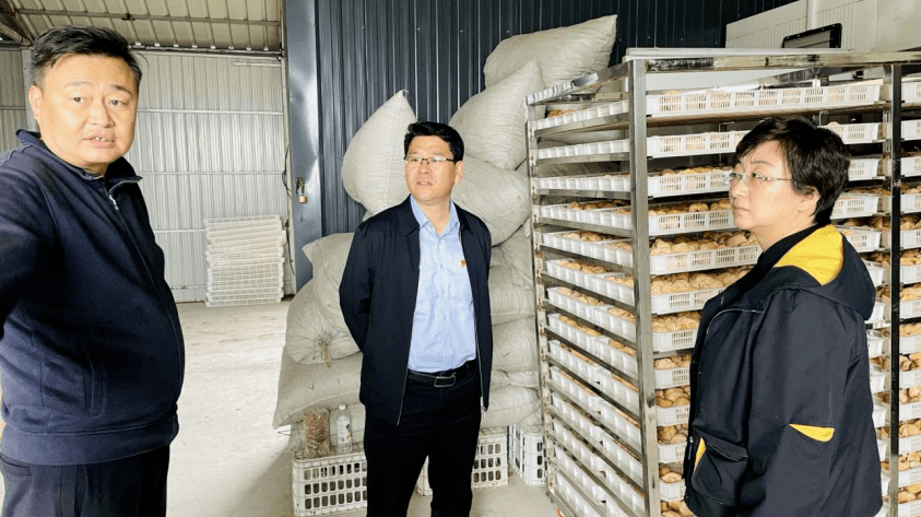 卢正春深入五岔沟镇调研指导工作