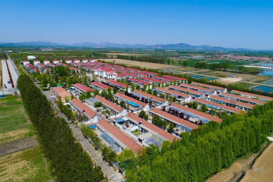 东港区涛雒镇西南部东港区涛雒镇下元一村拟认定第二批全国乡村治理