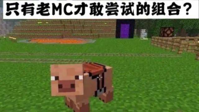 mc怎么练走搭_mc头像