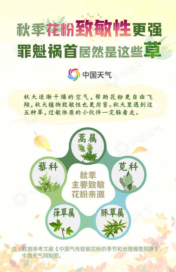 阳光|为什么立秋后鼻涕眼泪流不停？你不知道的秋季过敏那些事
