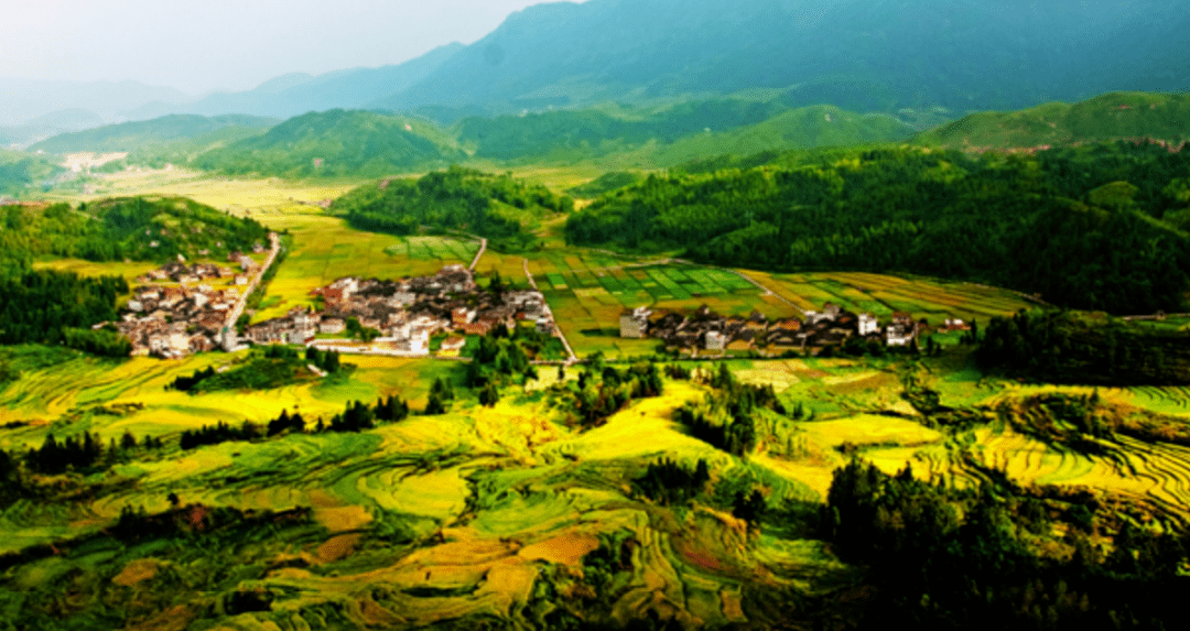 政府合作集团全力助推福建省周宁县招商引资打造宜居宜业宜游的云端之