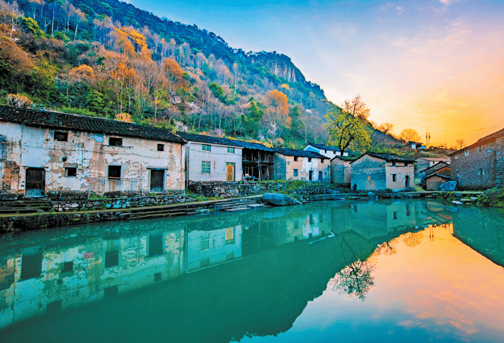 共富路上成片的向日葵花红高粱引客来赤岸镇农旅融合描绘共同富裕新