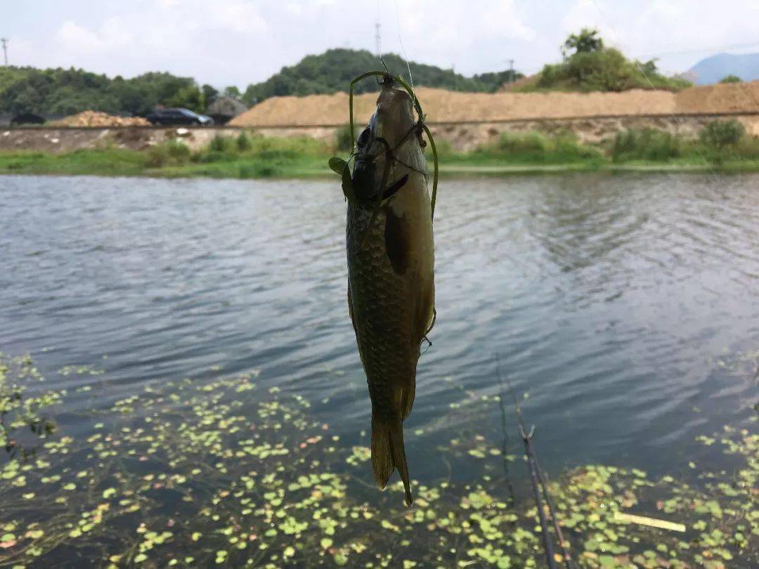 鱼在什么情况下吐泡泡 adad579ddeb94063aca26223f7f48505.jpeg