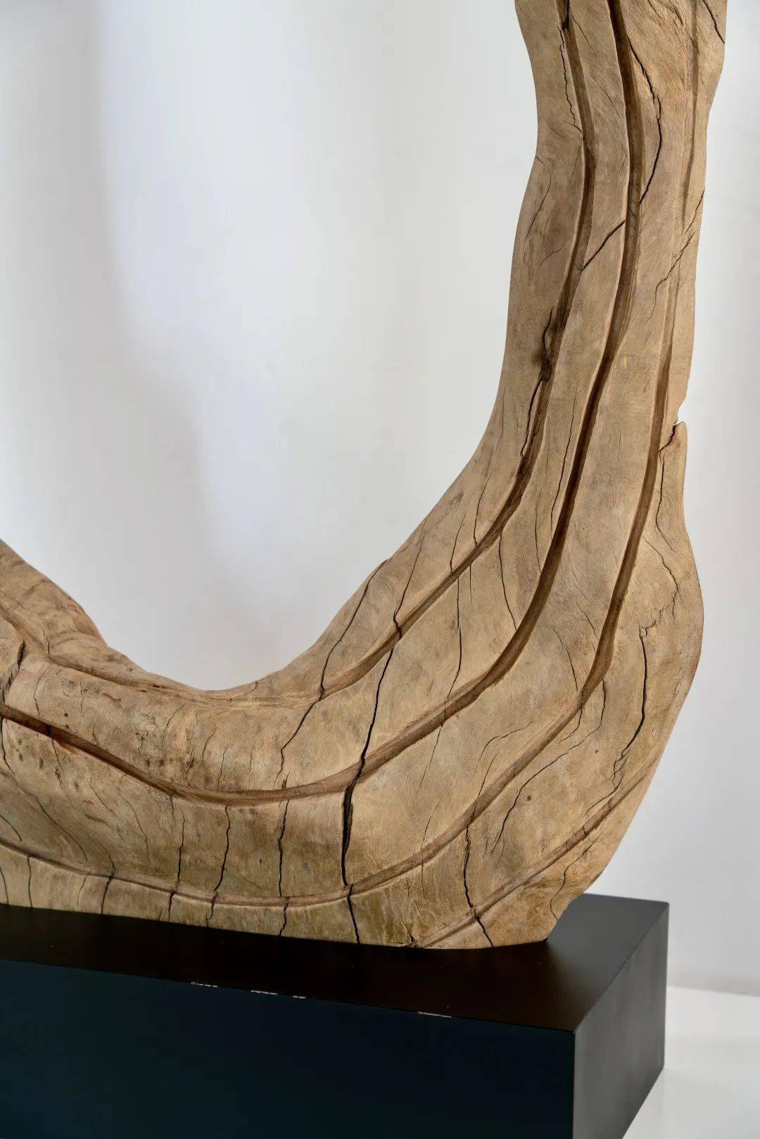 朽木的生命姿态朽木可雕吴谦雕塑作品展