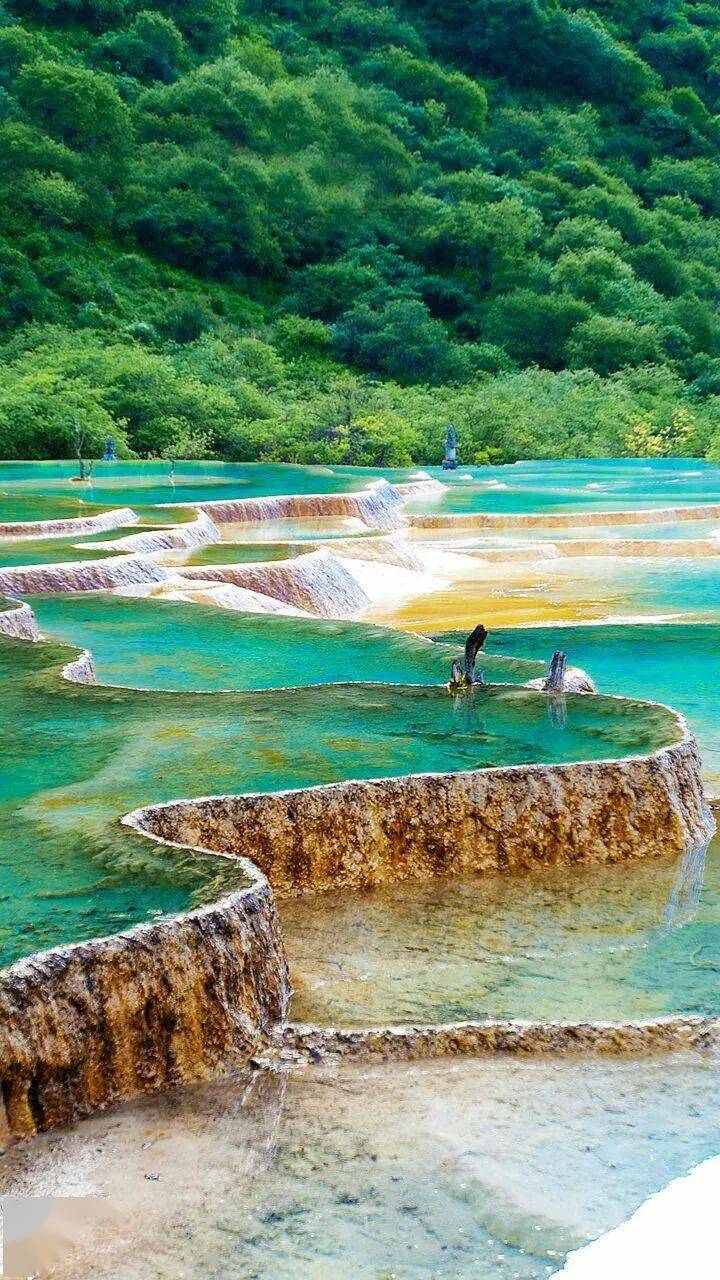 纵享九寨重庆九寨沟黄龙精华四飞六日游