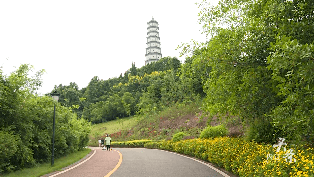 玩转内江秋季限定快来和塔山公园的桂花浪漫邂逅