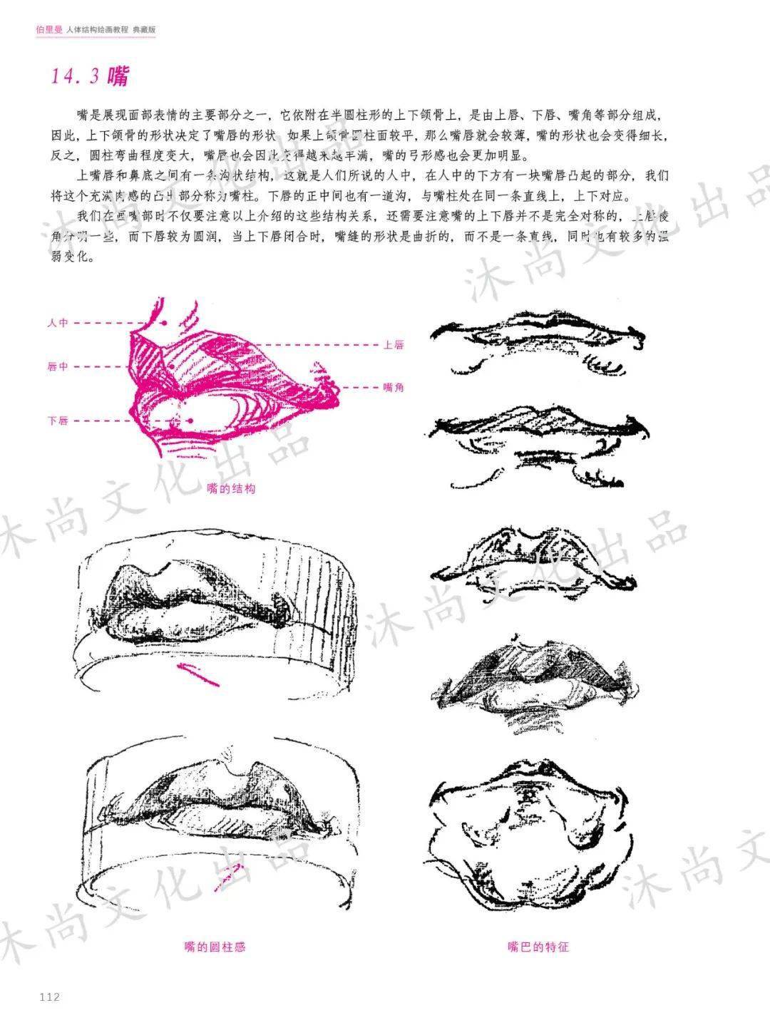 《伯里曼人体结构绘画教程》