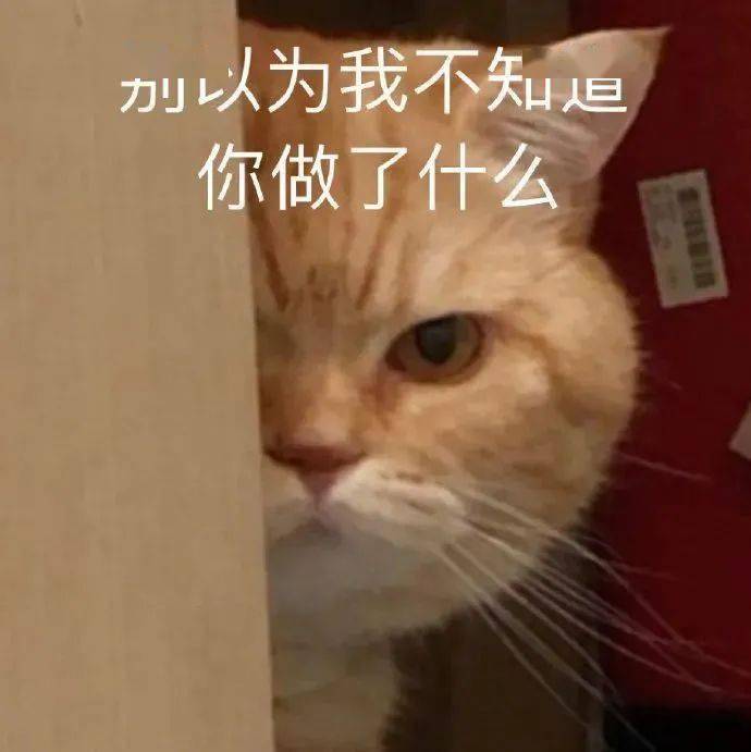 5ccf6b28e3ec4a60989c8ccb0eb76932.jpeg