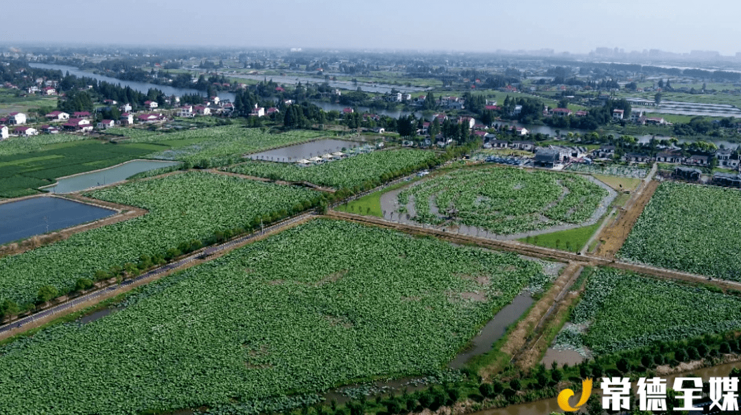 【沅澧百镇千村行】安乡县安康乡:绿色发展擦亮水乡名片