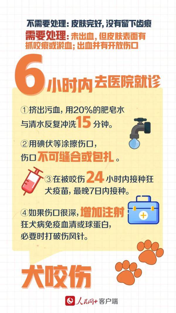 国际|世界急救日，一起来了解急救知识