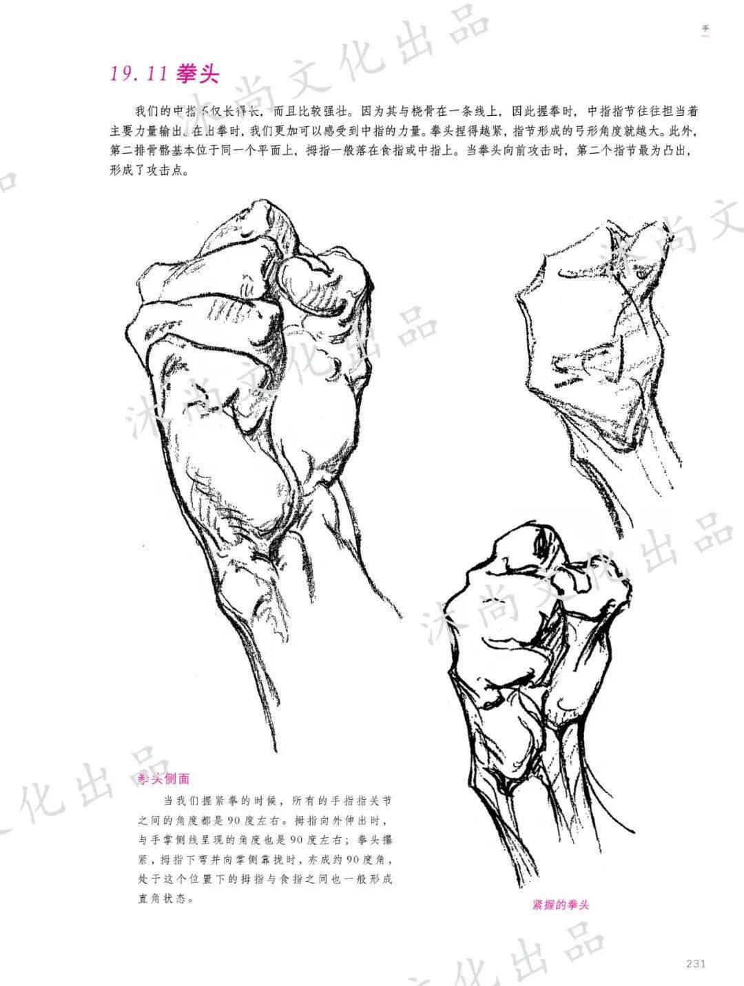 伯裡曼人體結構繪畫教程