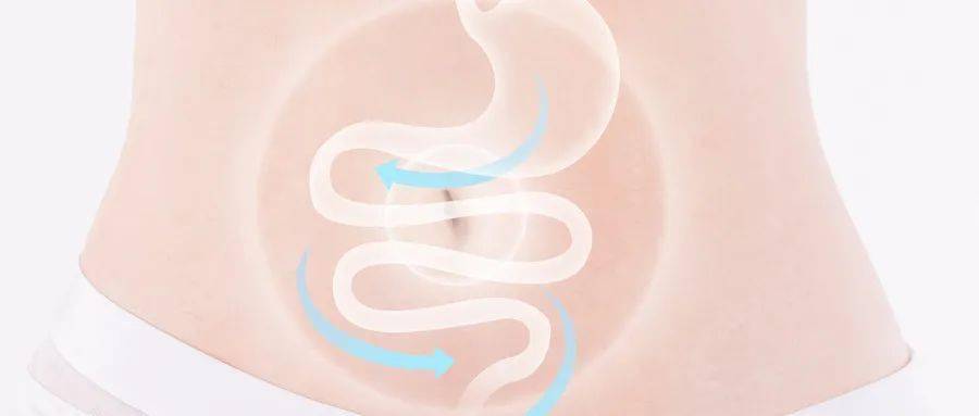 饮食|合理饮食“养”肠道