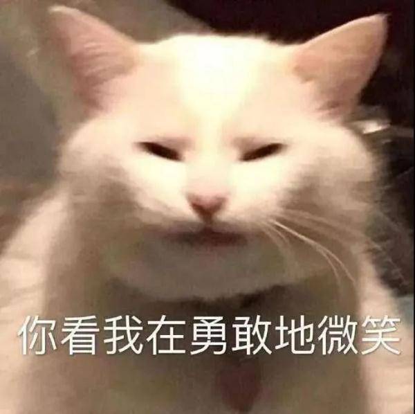 网络|拯救一个“社恐”，只需要......