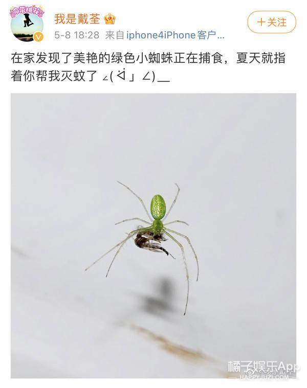 工作狂|还记得《悟空》的原唱戴荃吗？这状态哪像42？