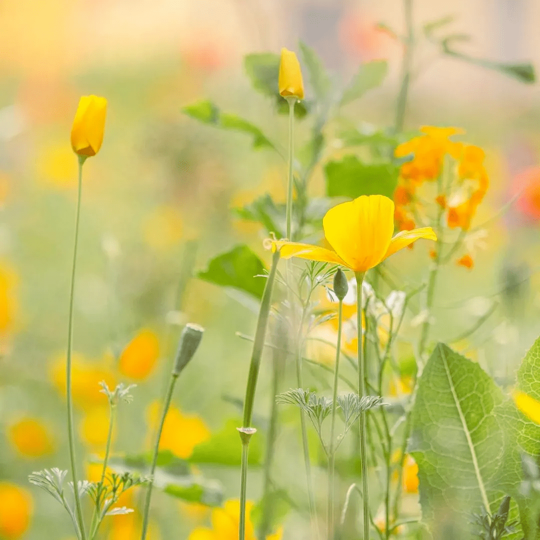 最好的养生就是修行 5229b6133af247abbfda1c547ebf36c8.png